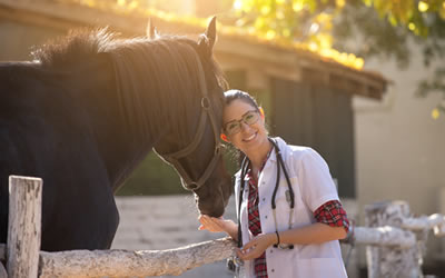 Large Animals Vet Australia
