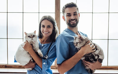 Vets Vet Australia